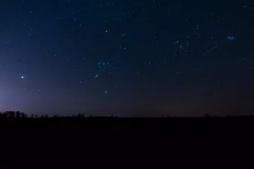 Fototapeta Orion nocne niebo zimowe niebo konstelacja gwiazdozbiór