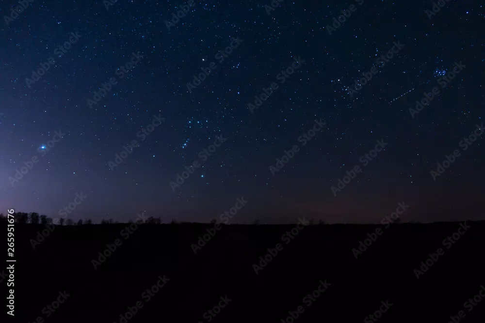 Fototapeta Orion nocne niebo zimowe niebo konstelacja gwiazdozbiór