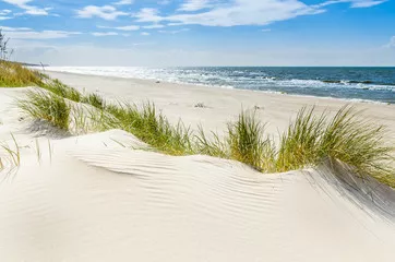 Fototapeta Pusta dzika plaża koło Mrzeżyna nad Bałtykiem w Polsce