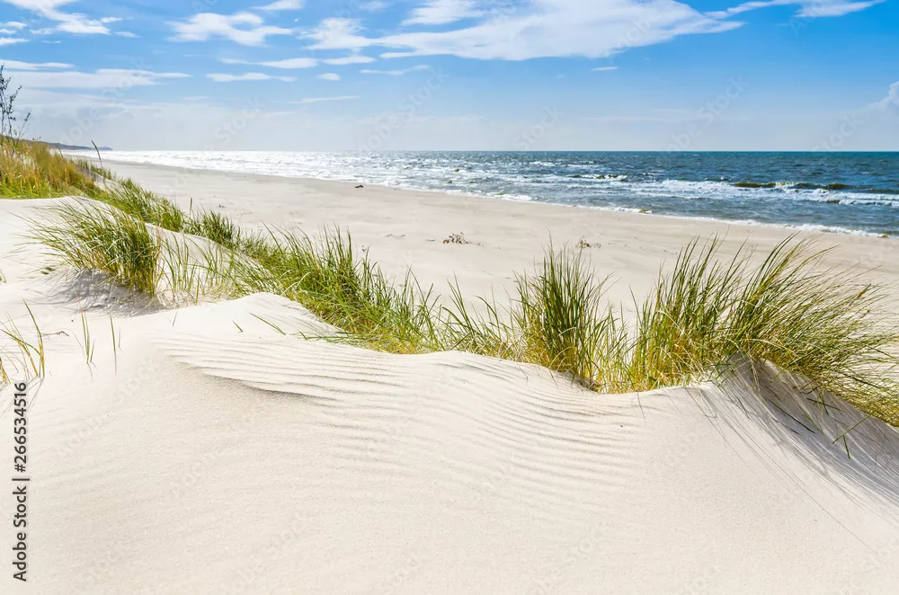 Fototapeta Pusta dzika plaża koło Mrzeżyna nad Bałtykiem w Polsce
