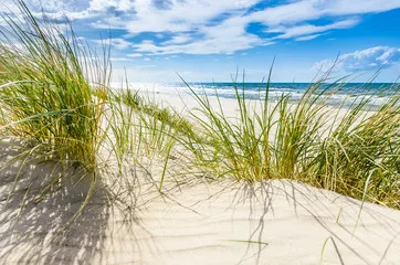 Fototapeta Pusta dzika plaża koło Mrzeżyna nad Bałtykiem w Polsce