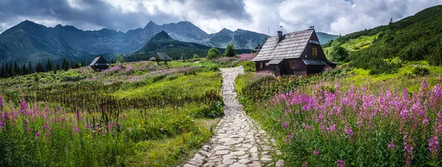Fototapeta Hala Gąsienicowa - Tatry, Polska
