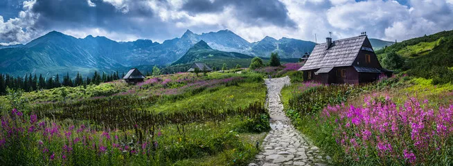 Fototapeta Hala Gąsienicowa - Tatry, Polska