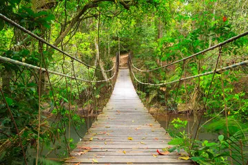 Obraz Most do dżungli, park narodowy Khao Yai, Tajlandia