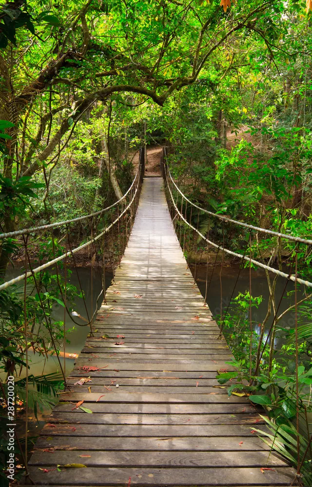Obraz Most do dżungli, Khao Yai National Park, Tajlandia