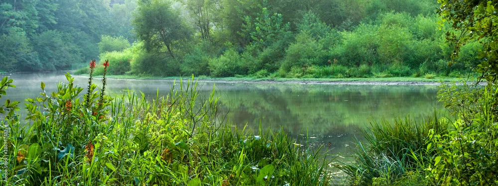 Fototapeta Zielona Oaza Spokoju: Malownicze Jezioro