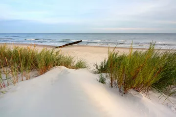 Fototapeta Wydmy na wybrzeżu Morza Bałtyckiego,plaża w Dźwirzynie,Polska.