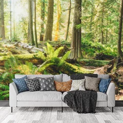 Obraz na płótnie w salonie