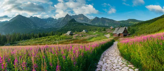 Fototapeta górski krajobraz, panorama Tatr, Polska kolorowe kwiaty i domki w dolinie Gąsienicowej (Hala Gąsienicowa), lato