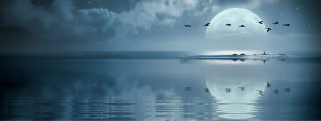 Obraz Fullmoon nad oceanem
