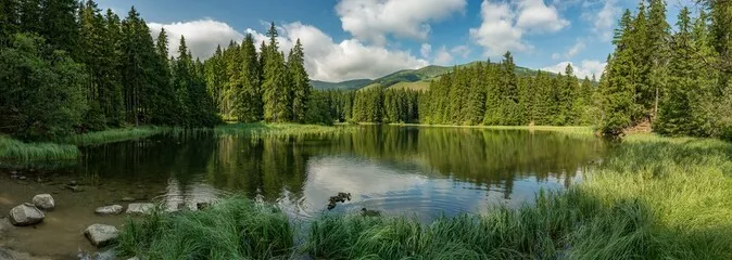 Fototapeta jezioro w lesie w Tatrach Dolnych
