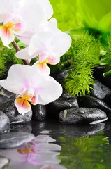 Obraz Relaksujący Zestaw: Orchidee i Kamienie Zen