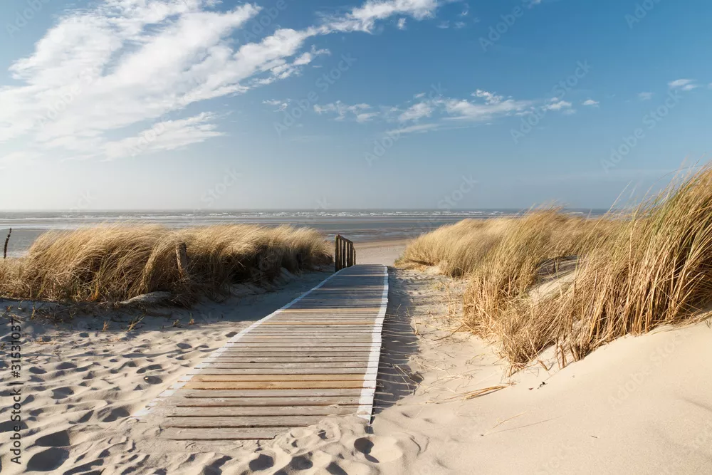 Fototapeta Plaża Morza Północnego na Langeoog