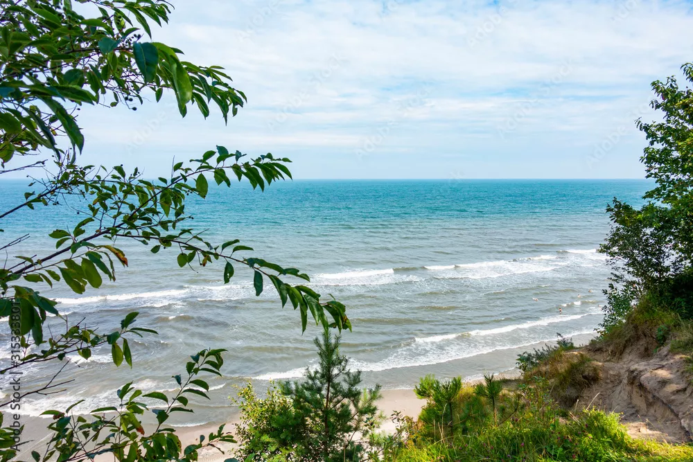 Fototapeta Morze Bałtyckie rośliny plaża