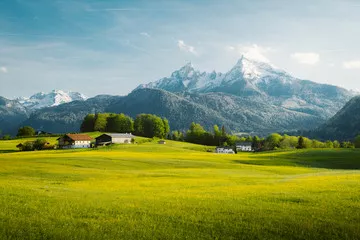 Fototapeta Idylliczny krajobraz w Alpach z kwitnącymi wiosną łąkami