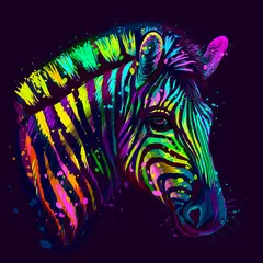 Obraz Tęczowa Zebra: Kolorowa Ekspresja Natury