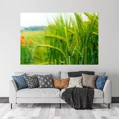 Obraz na płótnie w salonie