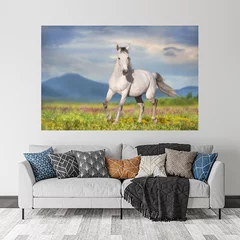 Obraz na płótnie w salonie