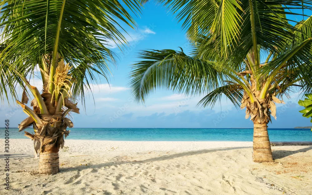 Fototapeta Rajska Plaża z Palmami