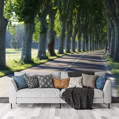 Obraz na płótnie w salonie