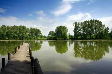 Fototapeta idylla