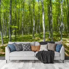 Obraz na płótnie w salonie