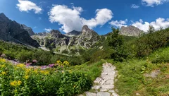 Fototapeta Malownicze Tatry: Szlak wśród Gór i Kwiatów