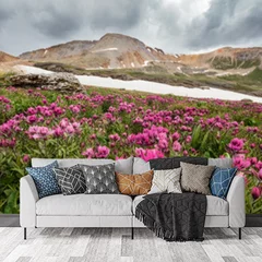 Obraz na płótnie w salonie