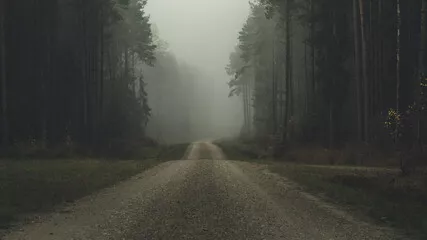 Obraz Droga przez Tajemniczy Las we Mgle