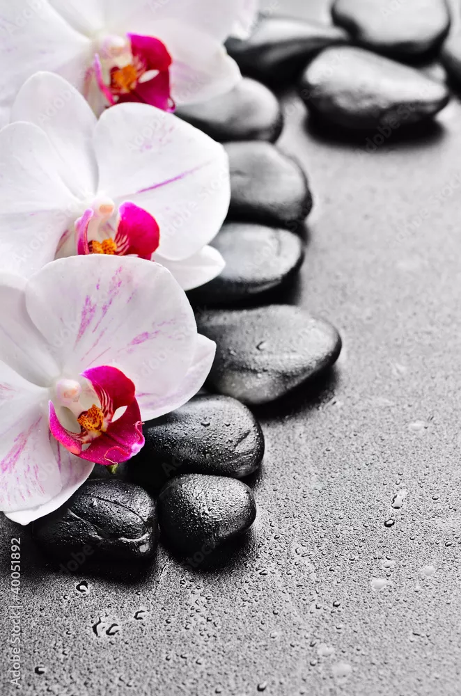 Obraz Harmonia Orchidei i Kamieni Zen