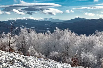 Fototapeta Zimowy krajobraz górski. Widok na dolinę między Rawkami a Tarnicą z ukraińskimi Karpatami na horyzoncie, Bieszczady, Polska