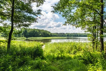 Fototapeta droga leśna, drzewa, dzika przyroda, forest, jesień, krajobraz, landscape, lasy, mazurski krajobraz, mazury, słońce, wildlife, zieleń, słońce, jezioro, lake, warmia, tafla jeziora, promyk słońca