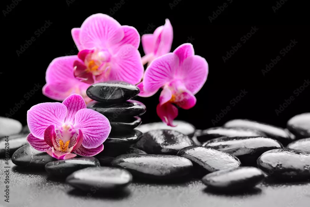 Obraz Relaks i Harmonizacja: Orchidee i Kamienie Zen