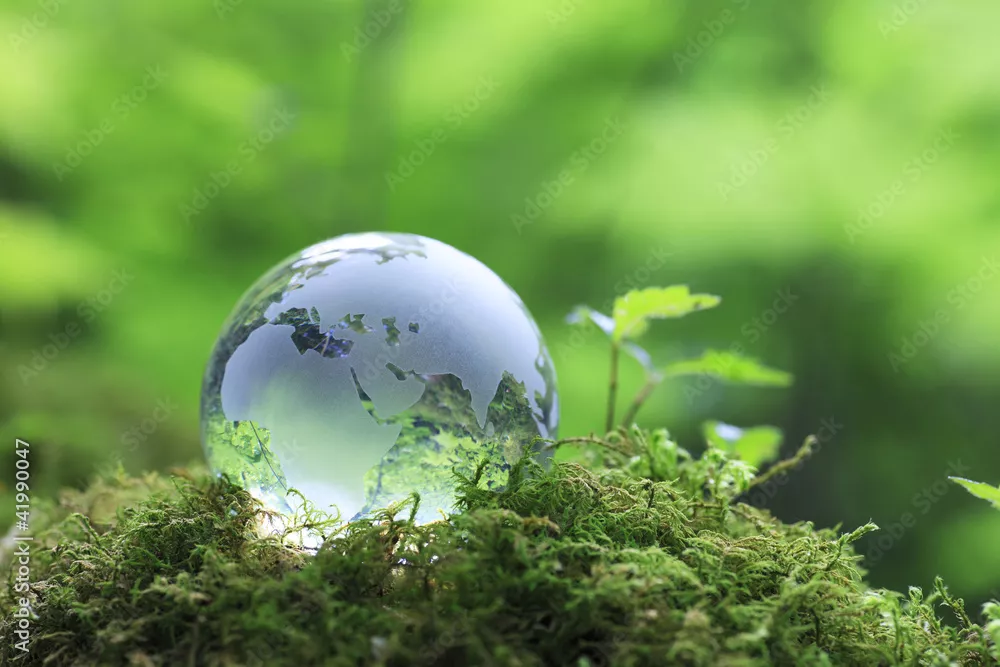 Obraz Eco -image