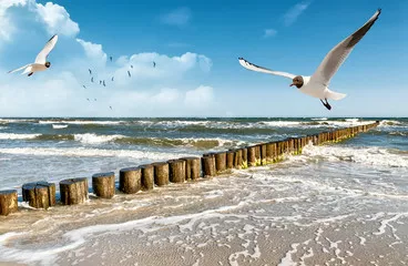 Obraz Ostsee