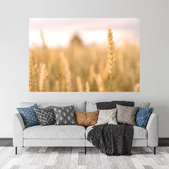 Obraz na płótnie w salonie