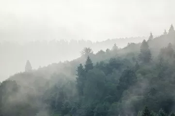 Fototapeta Mglisty Las w Górach