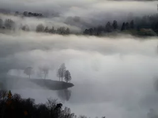 Obraz mglisty krajobraz z drzewami – tajemnicza atmosfera natury