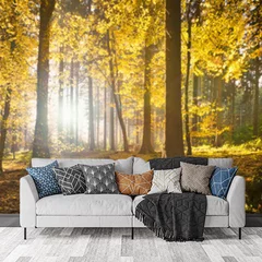 Obraz na płótnie w salonie