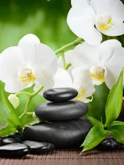 Obraz Relaksacyjna Harmonia: Kamienie i Orchidee