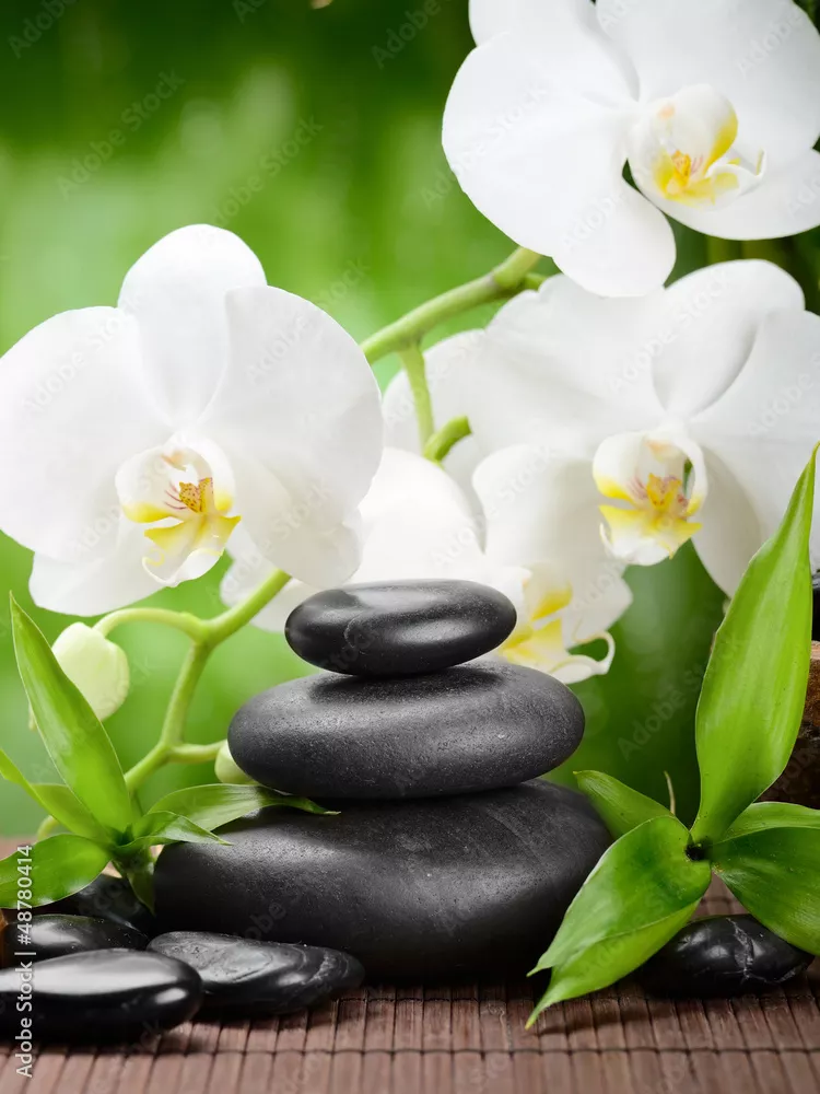 Obraz Relaksacyjna Harmonia: Kamienie i Orchidee