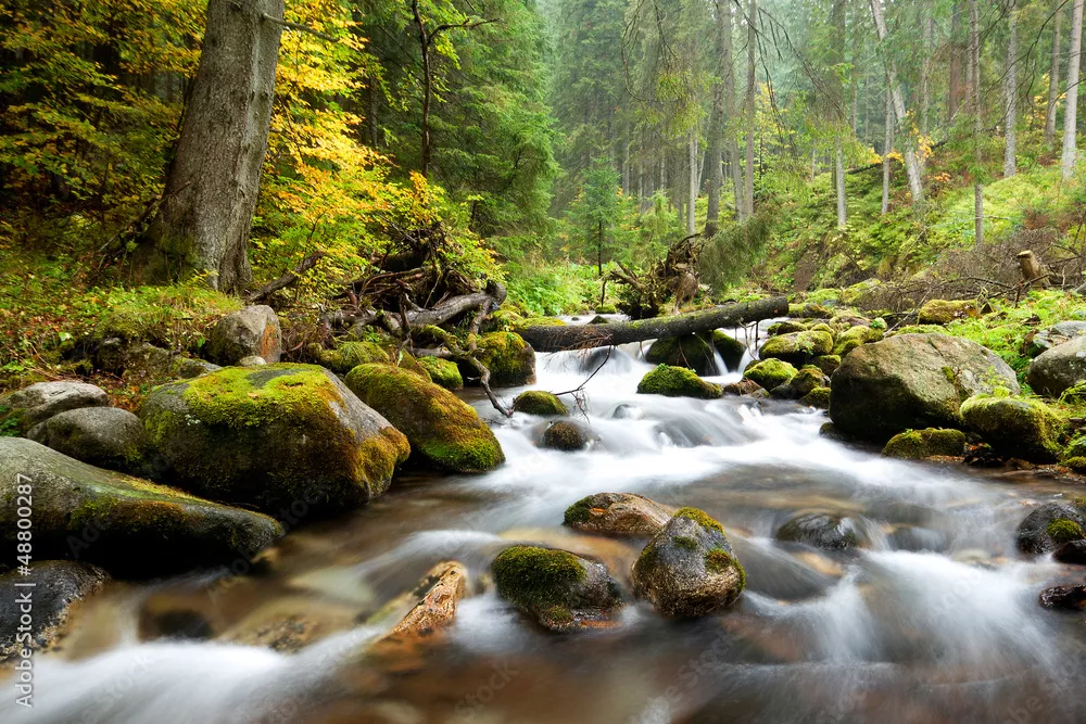 Obraz Tatry