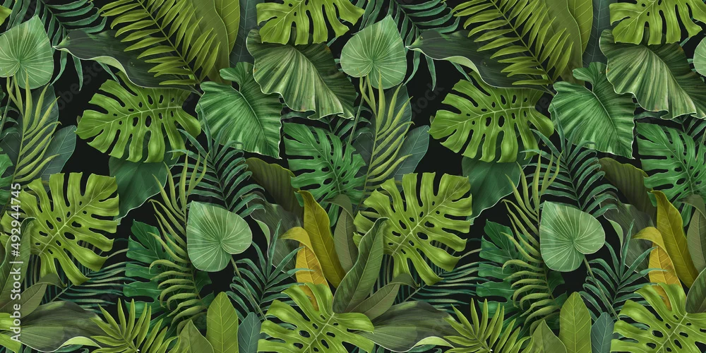 Fototapeta Egzotyczna Zielona Oaza: Nature-Inspired Elegance