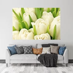 Obraz na płótnie w salonie