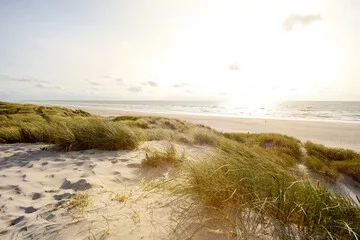 Obraz Widok na piękny krajobraz z plażą i wydmami w pobliżu Henne Strand, krajobraz wybrzeża Morza Północnego Jutlandia, Dania