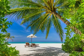 Fototapeta Rajska Plaża: Idealne Miejsce na Wypoczynek