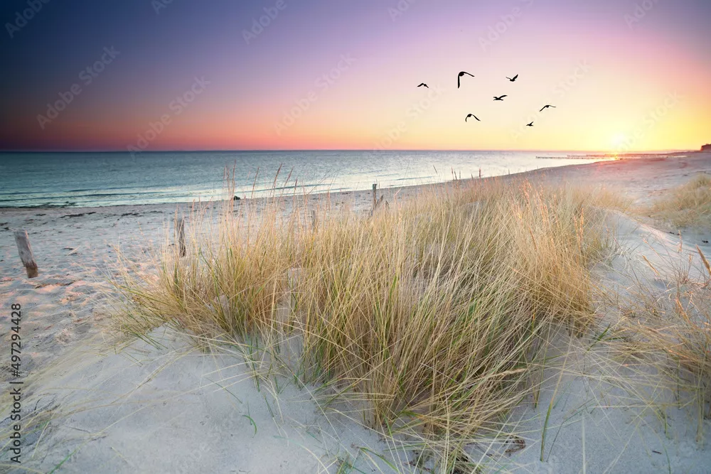 Obraz Magiczny Zachód Słońca nad Plażą