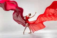 Obraz Wiatr Tańca: Eksplozja Elegancji