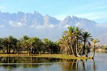 Fototapeta Jemen. Wyspa Socotra