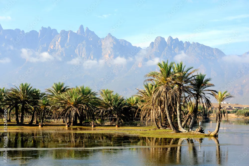 Fototapeta Jemen. Wyspa Socotra
